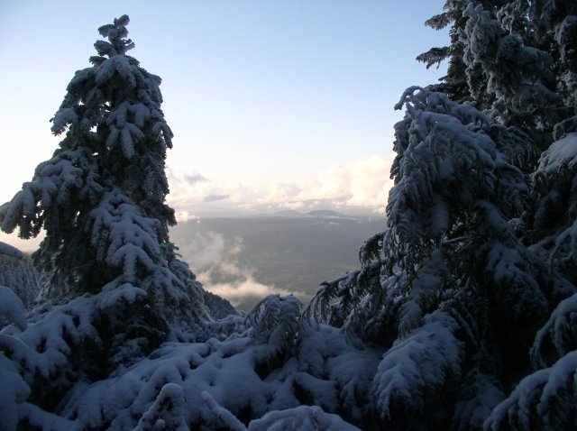 11.27.05 Nesmith Point 102 